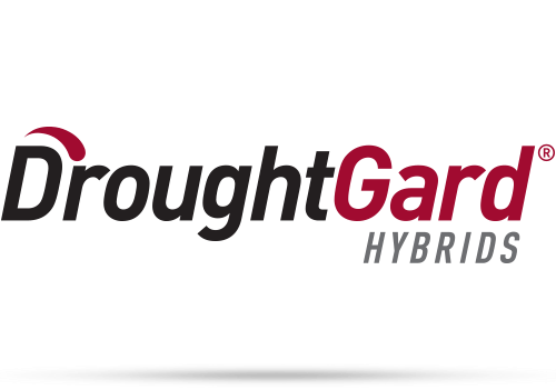DroughtGard Hybrids