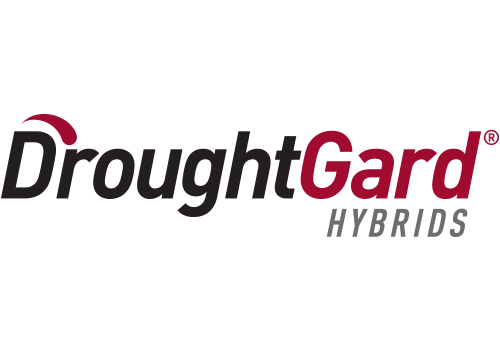 DroughtGard Hybrids